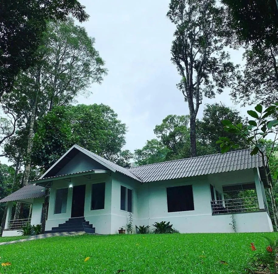 Kailas Estate Trails Nelliyampathy